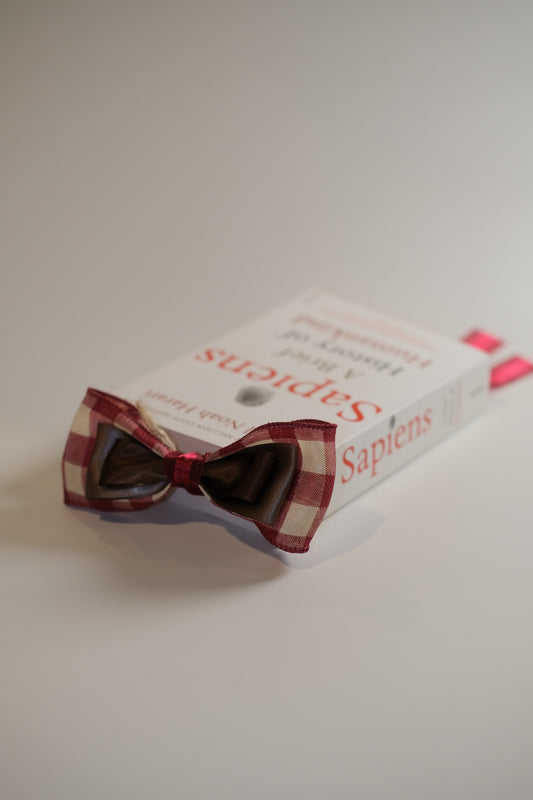 Rudolf Ribbon Bookmark