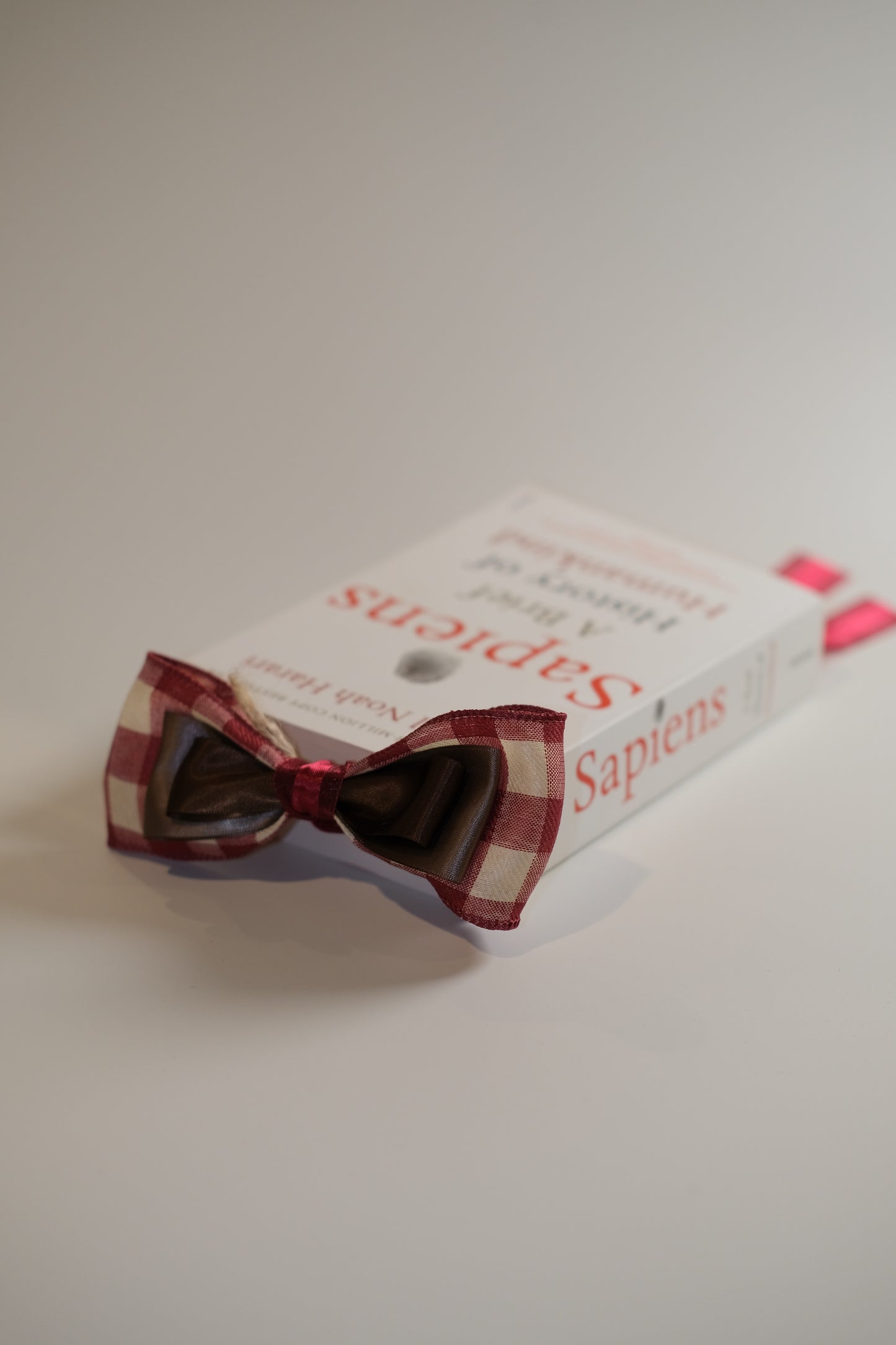 Rudolf Ribbon Bookmark