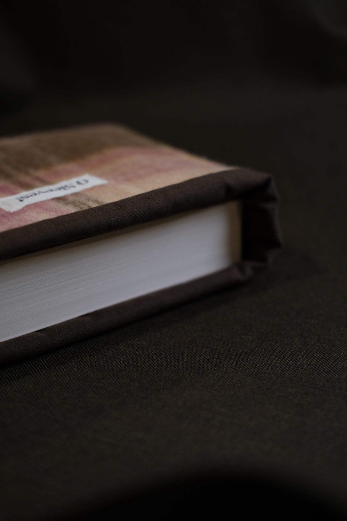 Toasty Peach Book Sleeve (Standard/Large)